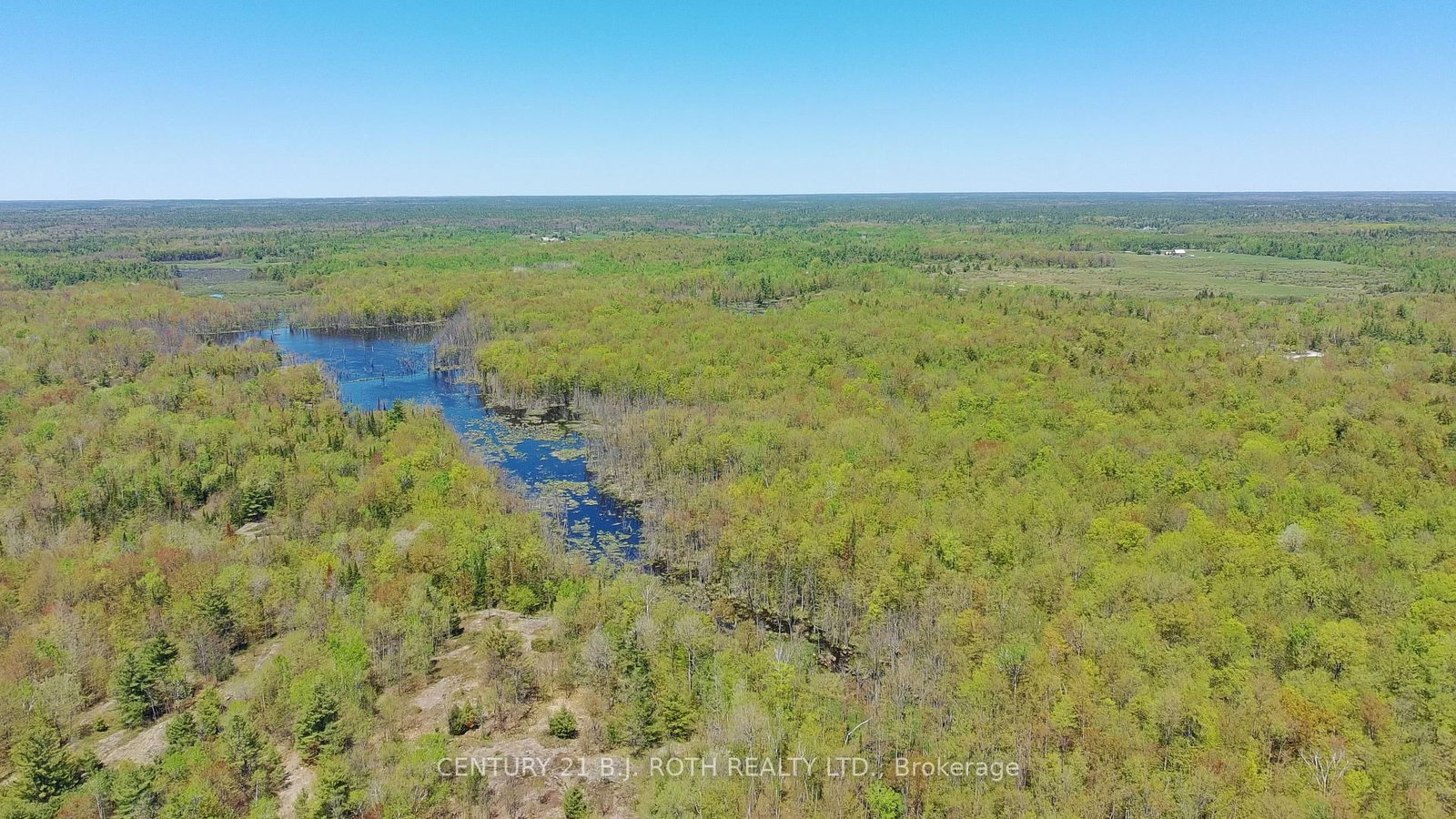 2444 FAIRGROUNDS Road • Ramara, ON photo 21