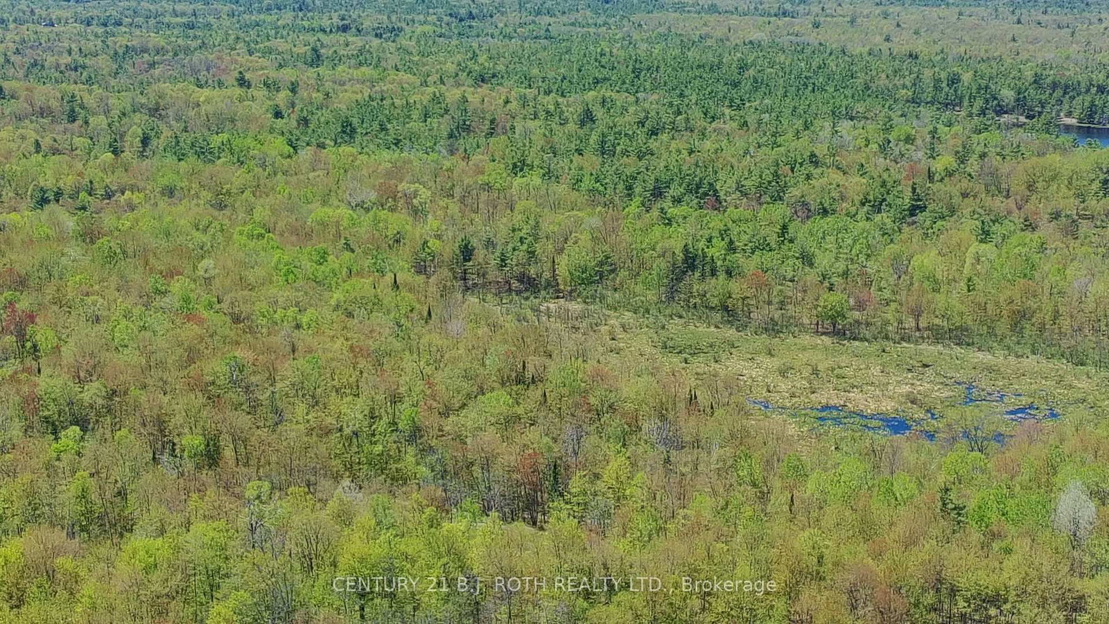 2444 FAIRGROUNDS Road • Ramara, ON photo 38