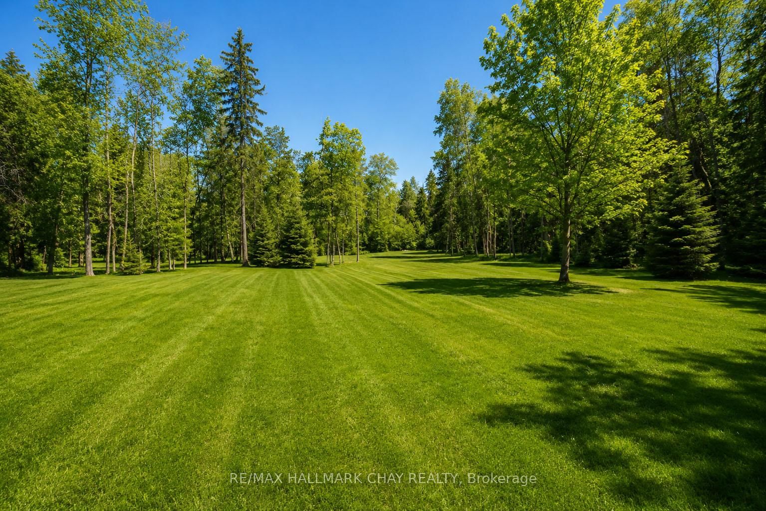 5159 Concession 7 Concession • Clearview, ON photo 35