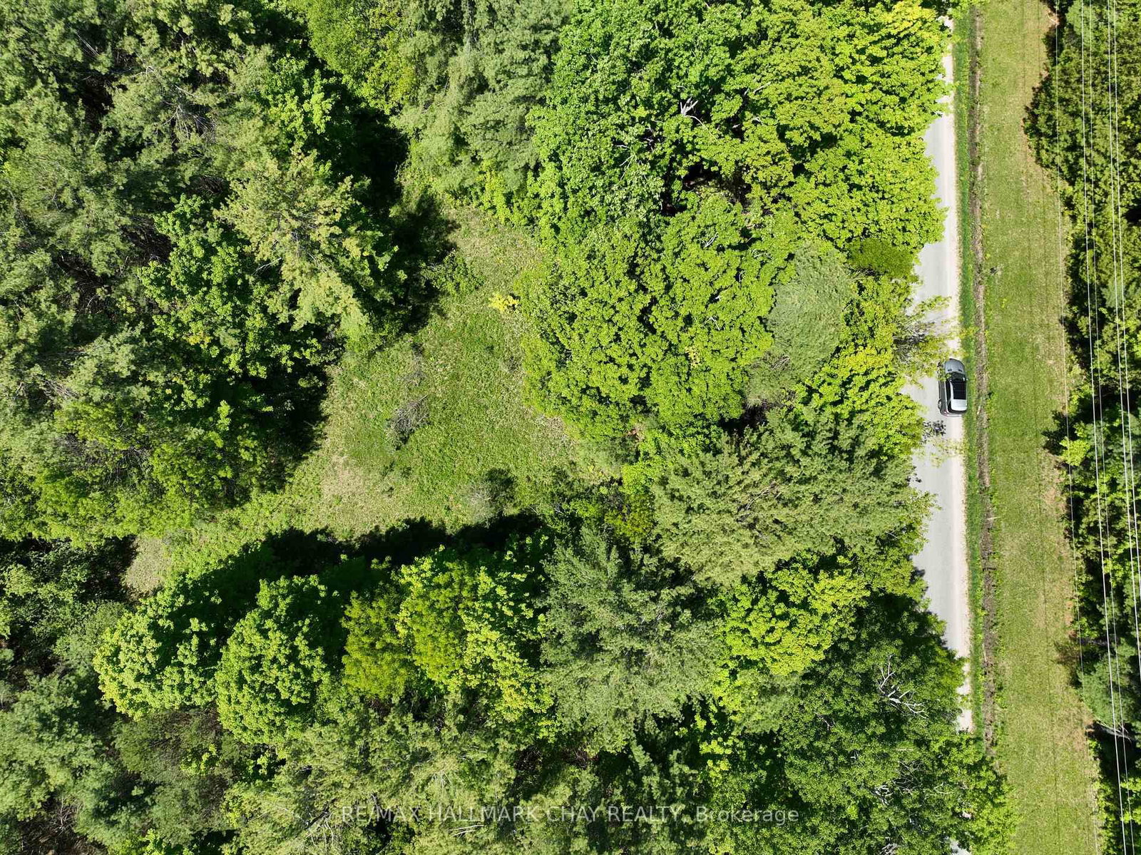 1676 Old Second Road S • Springwater, ON photo 10