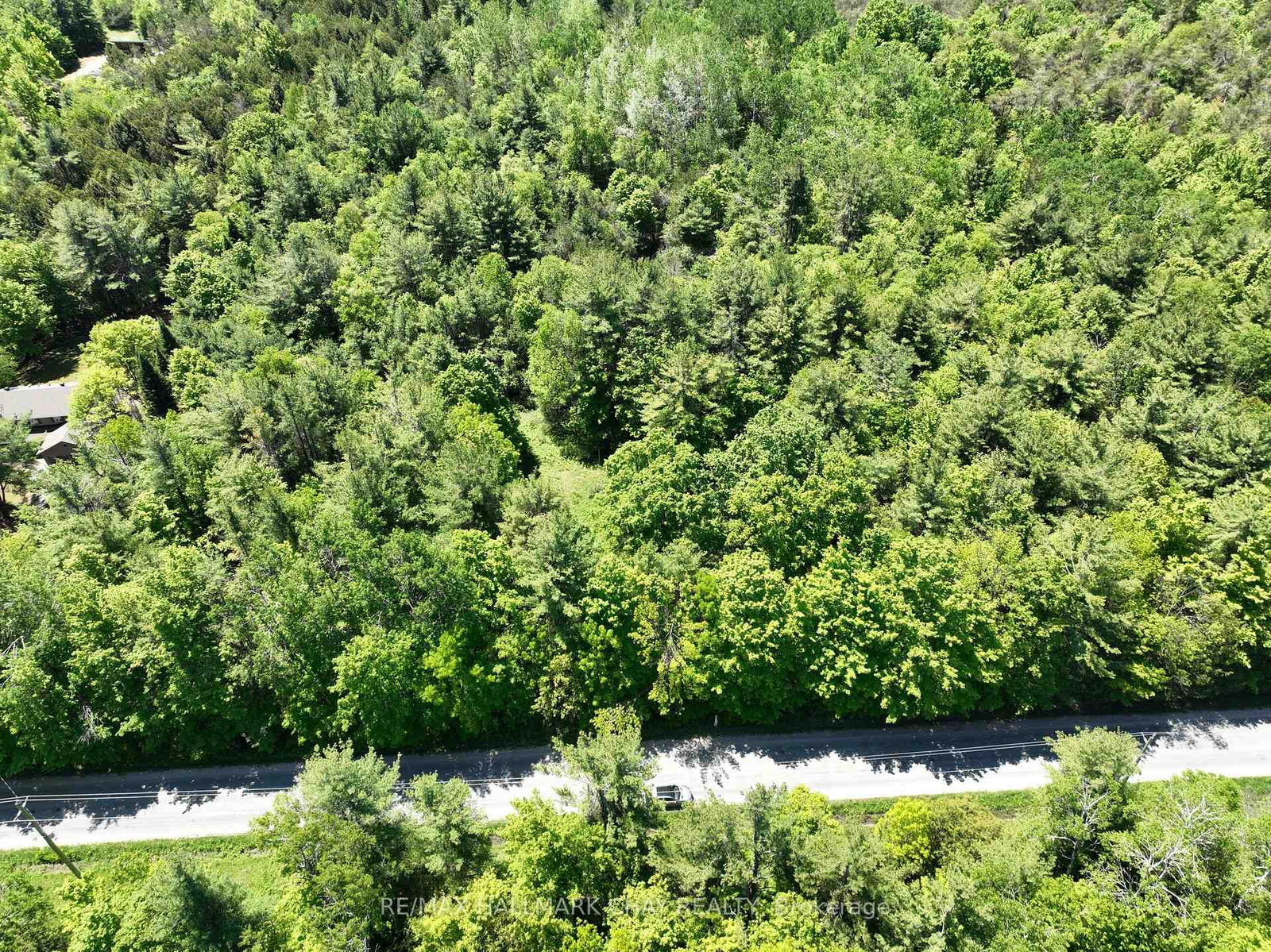 1676 Old Second Road S • Springwater, ON photo 12
