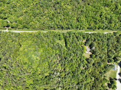 1676 Old Second Road S • Springwater, ON photo 5