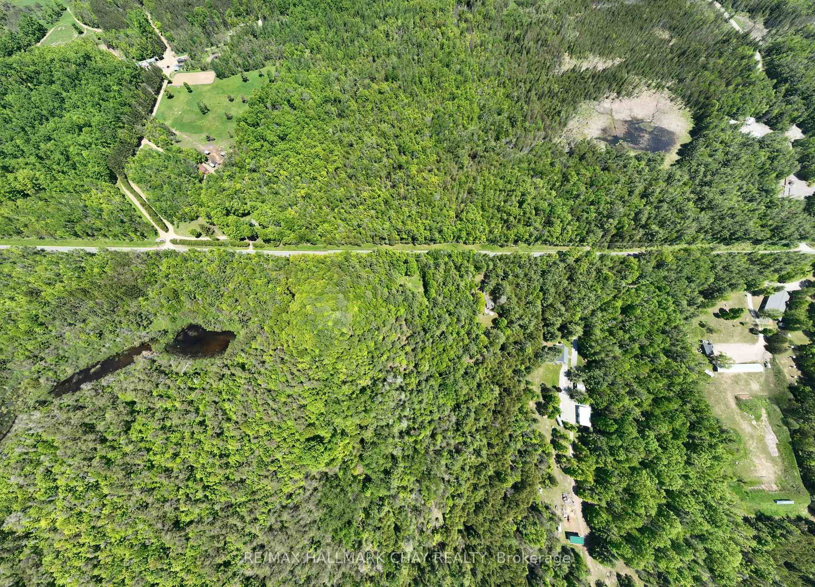 1676 Old Second Road S • Springwater, ON photo 8