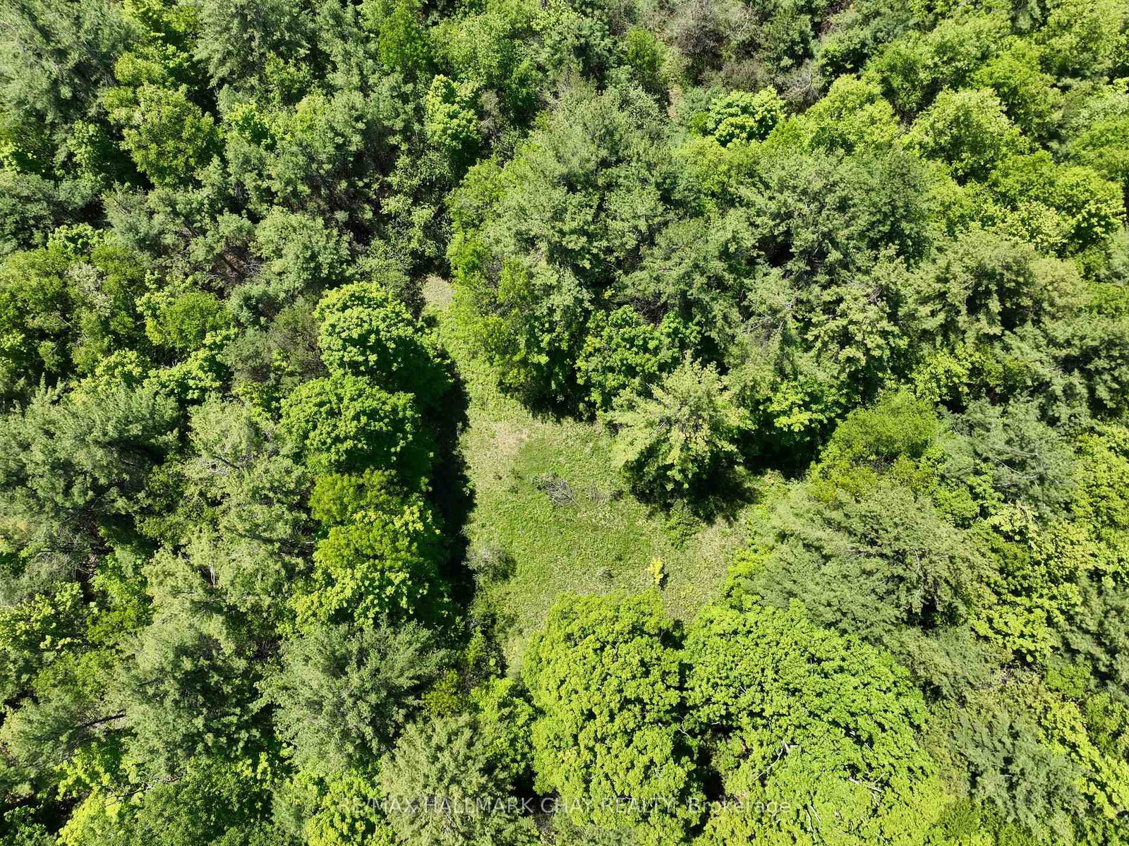 1676 Old Second Road S • Springwater, ON photo 9
