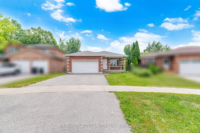 17 Sydenham Wells