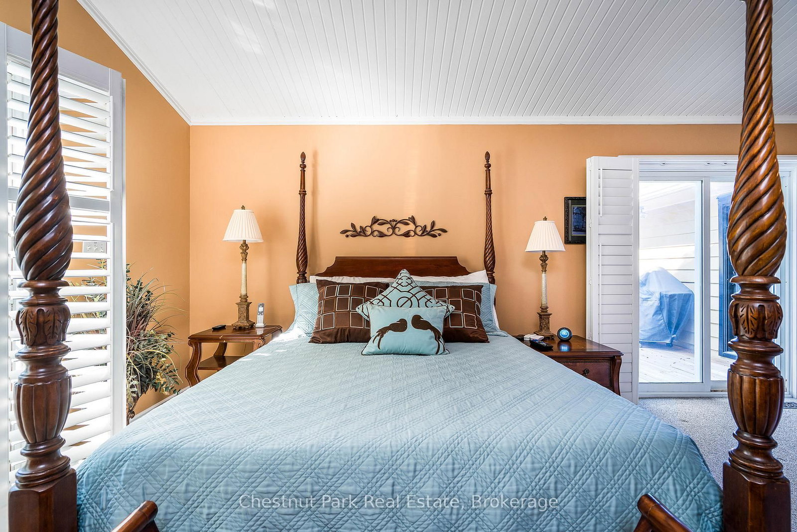 72 Campbell Street • Collingwood, ON photo 29