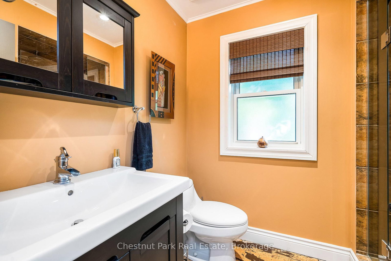 72 Campbell Street • Collingwood, ON photo 32
