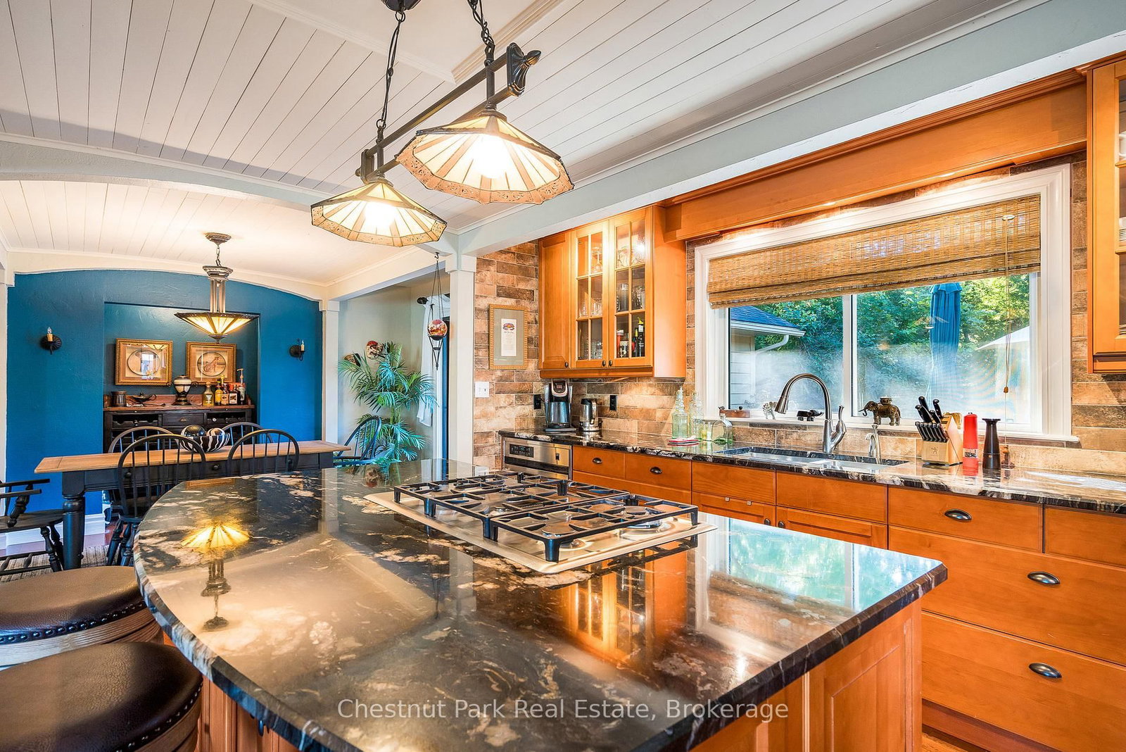 72 Campbell Street • Collingwood, ON photo 34
