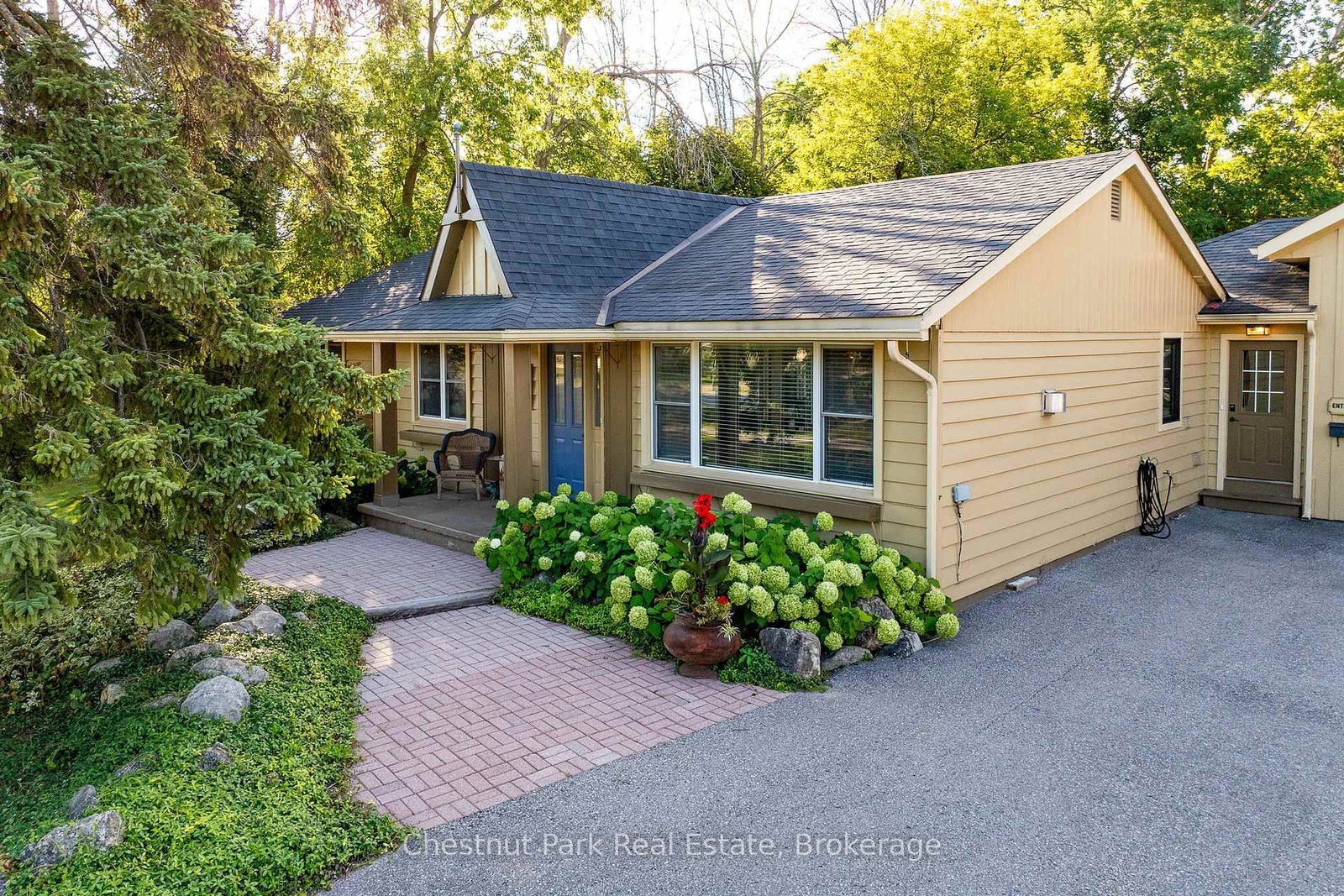 72 Campbell Street • Collingwood, ON photo 41