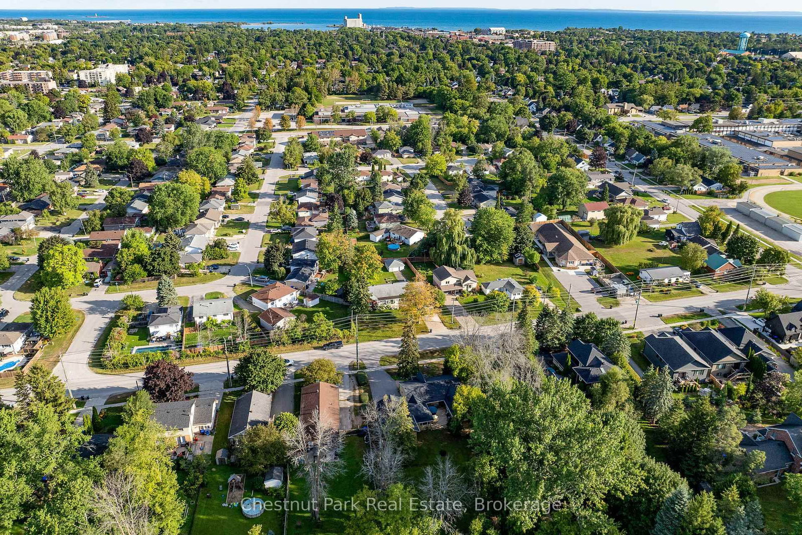 72 Campbell Street • Collingwood, ON photo 50