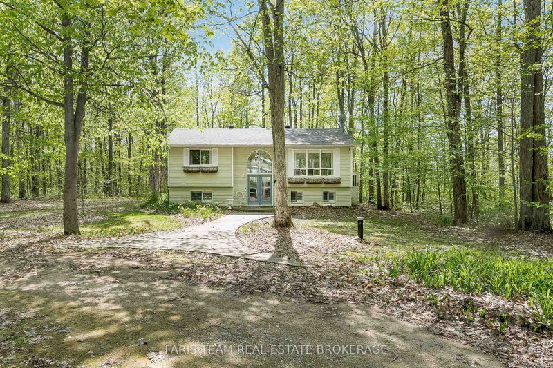 104 Silver Birch Drive
