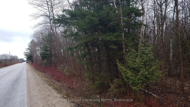 6125 Second Concession Road