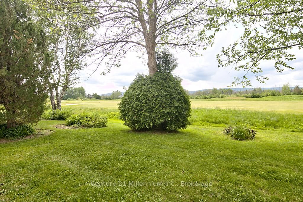 500 Oxbow Crescent • Collingwood, ON photo 28