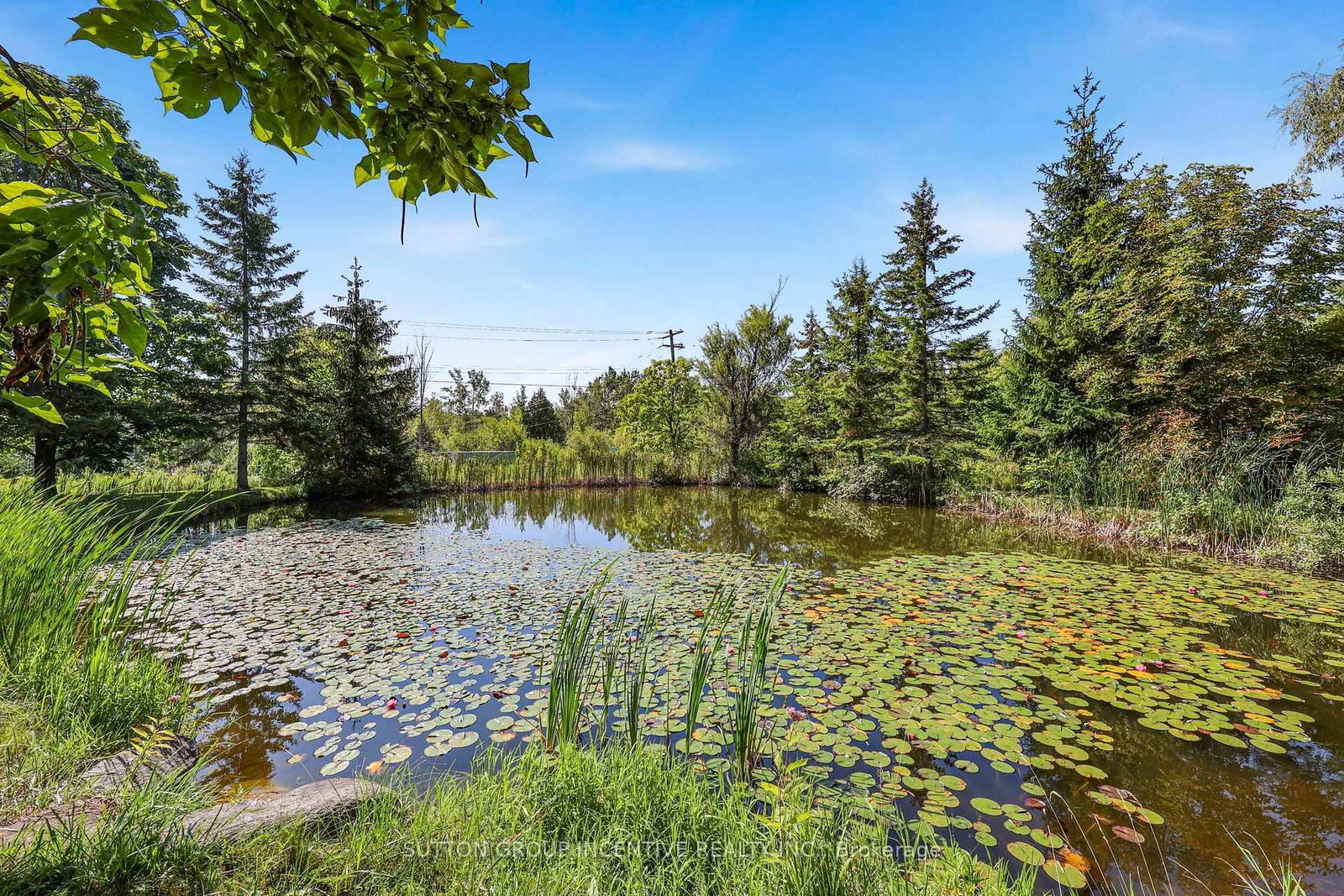 10 Springhome Road • Oro-Medonte, ON photo 44