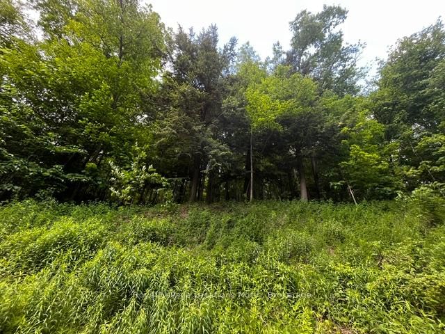 8840 9 County Road