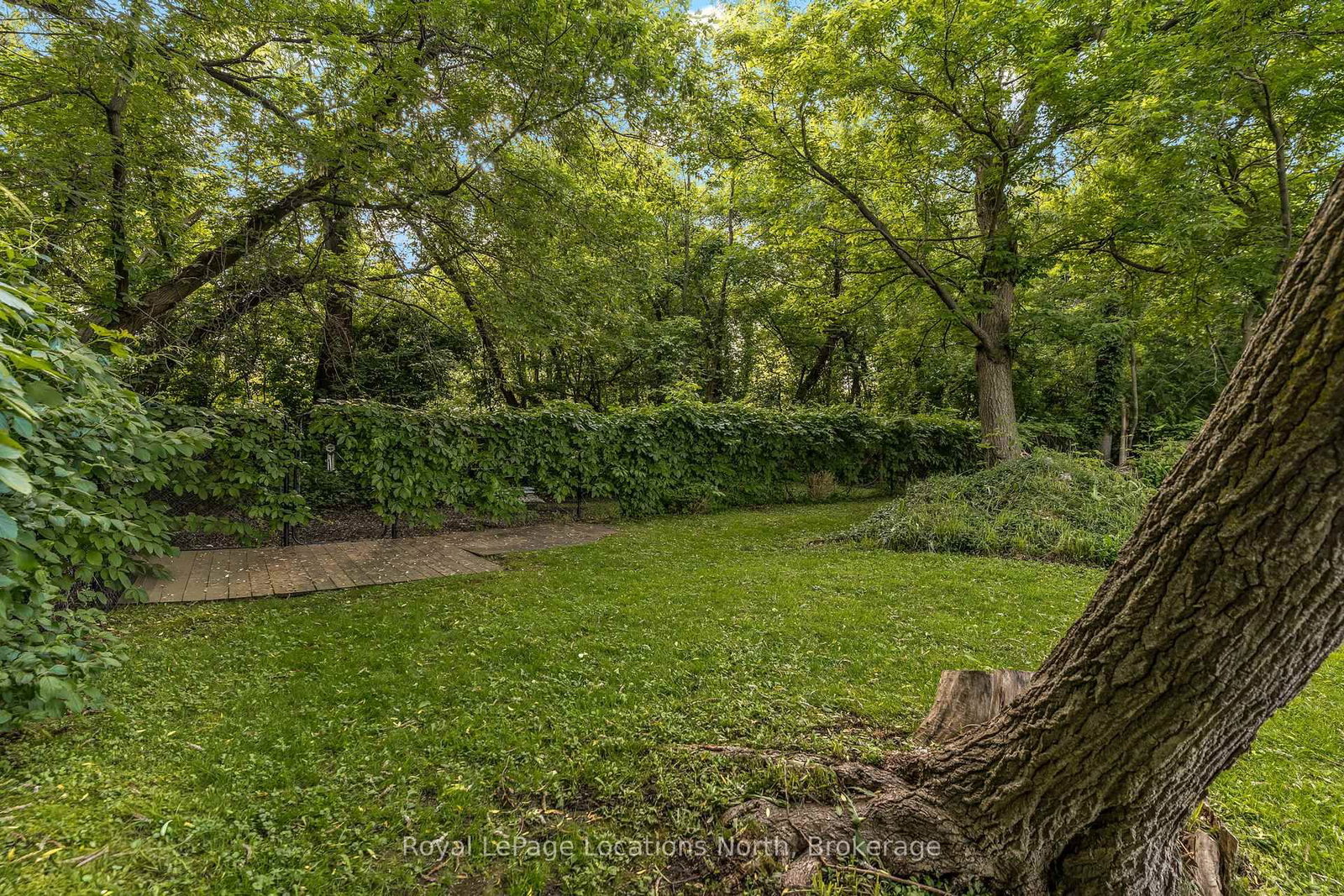10 Park Road • Collingwood, ON photo 43