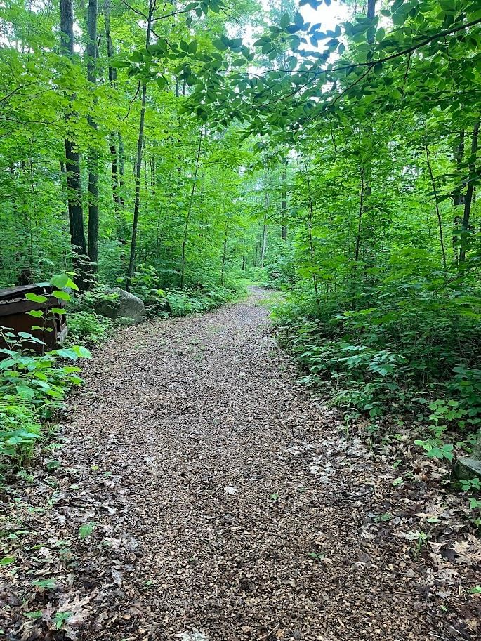 3196 Fesserton Side Road • Tay, ON photo 47