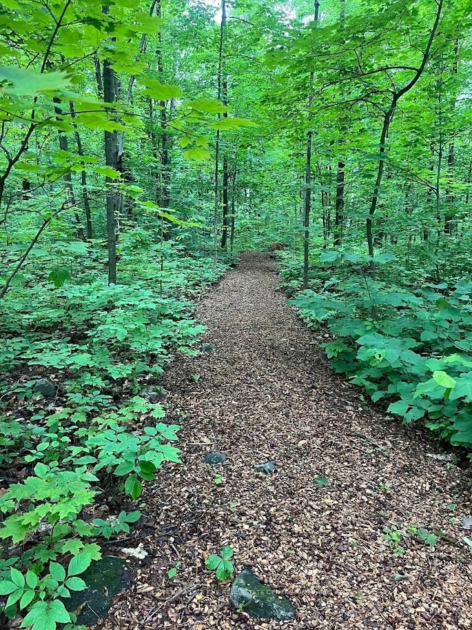 3196 Fesserton Side Road • Tay, ON photo 48