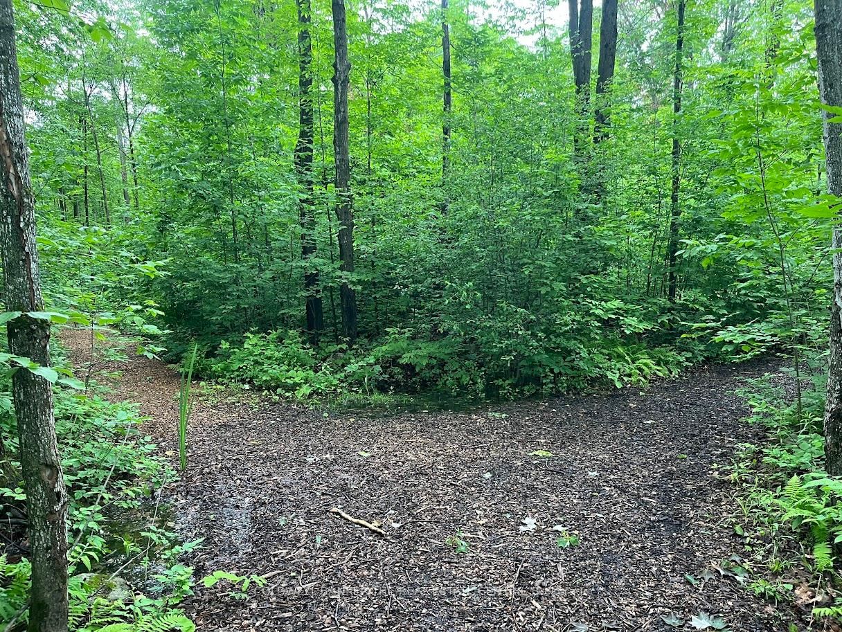 3196 Fesserton Side Road • Tay, ON photo 49