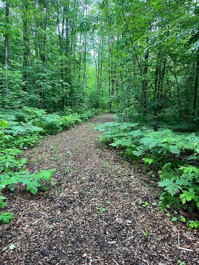 3196 Fesserton Side Road • Tay, ON photo 50