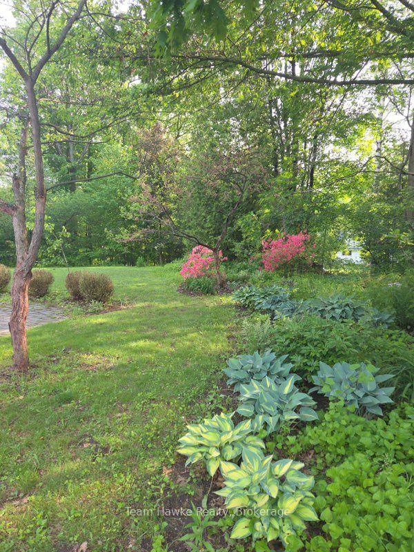 Listing Image 49