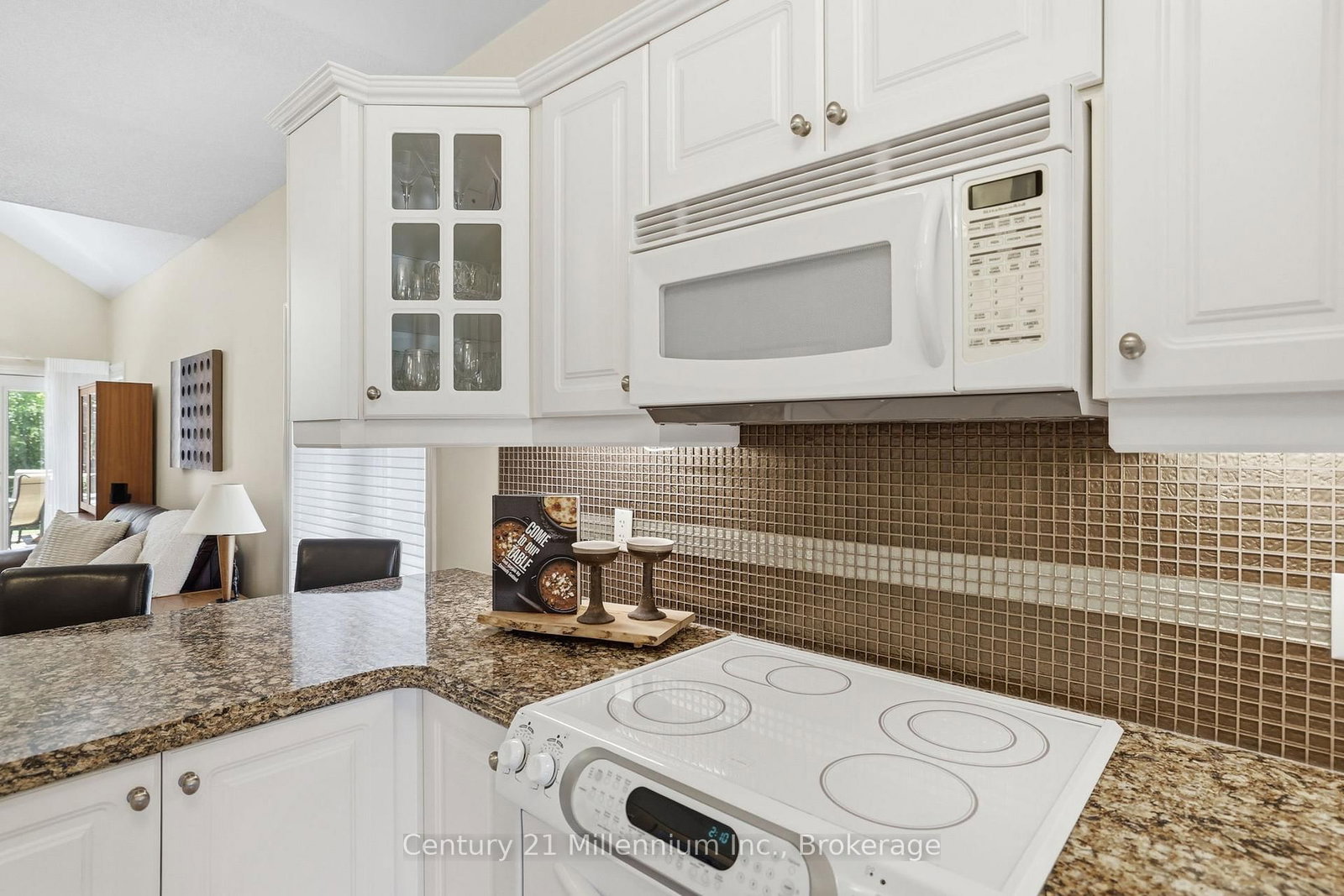 18 Thomas Drive • Collingwood, ON photo 11
