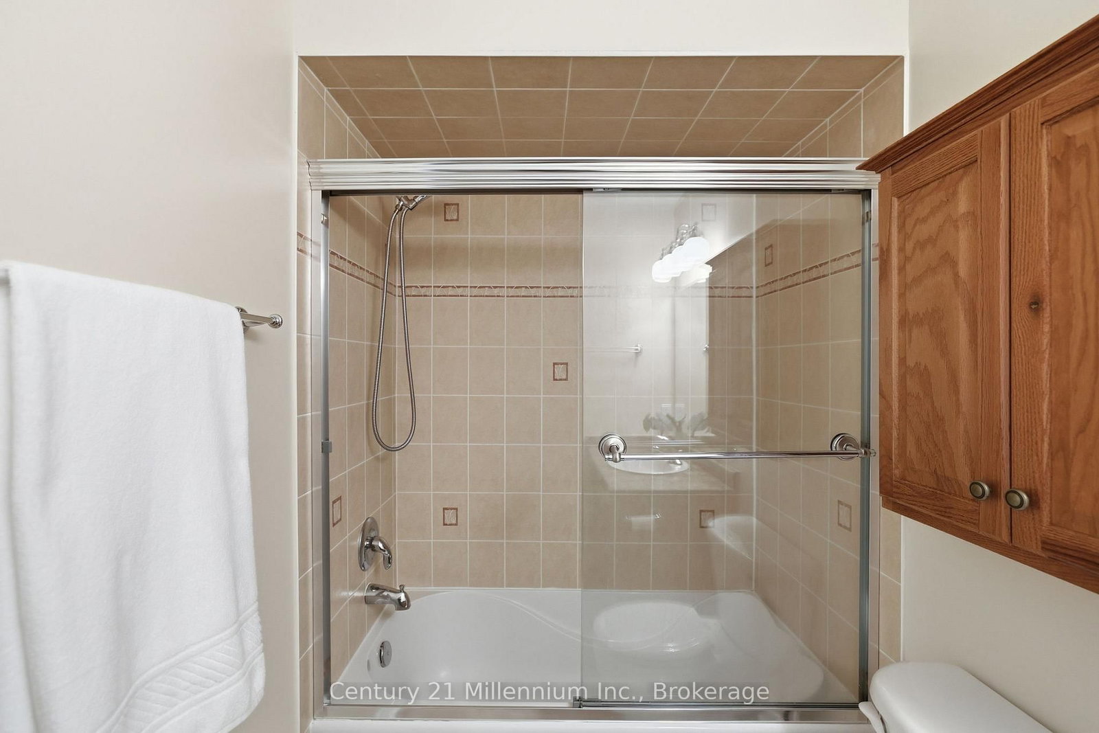 18 Thomas Drive • Collingwood, ON photo 32