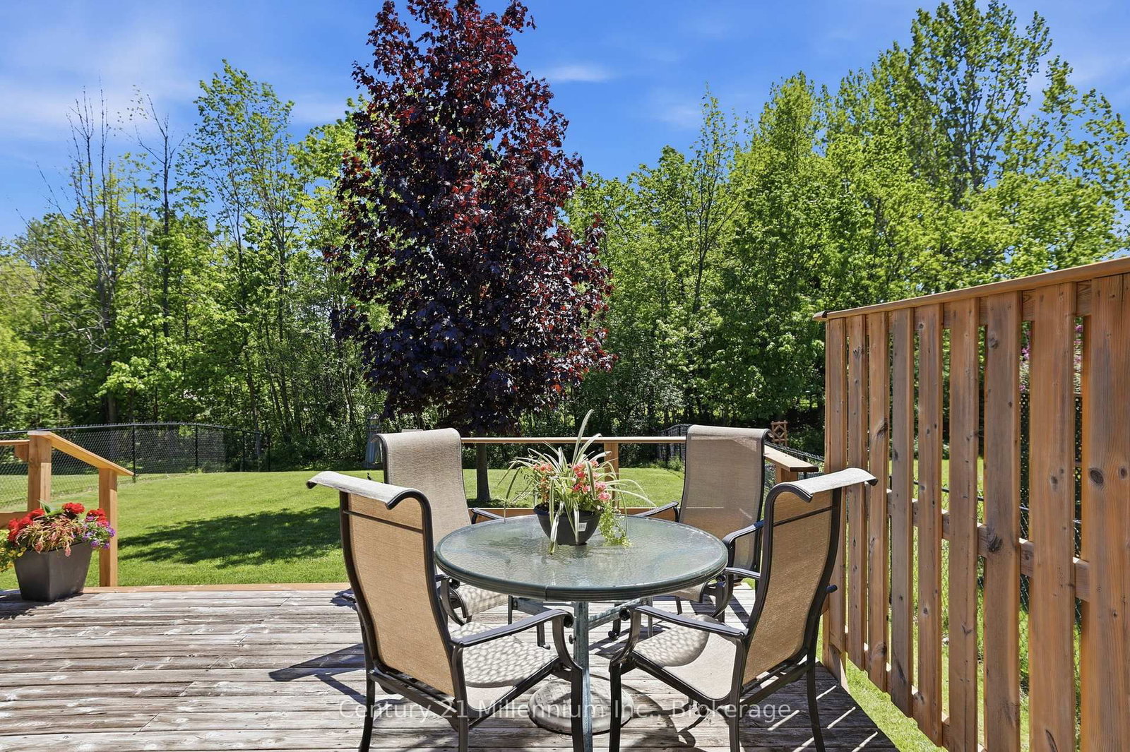 18 Thomas Drive • Collingwood, ON photo 37