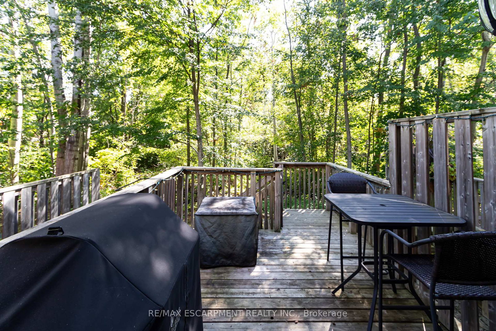 72 SILVER GLEN Boulevard • Collingwood, ON photo 29