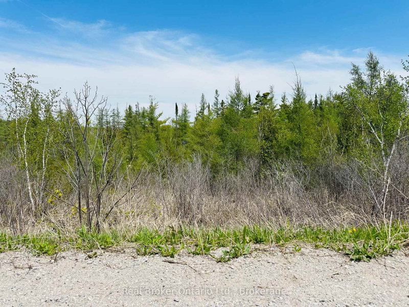 Lot 43 County Rd 16 Rd photo 5