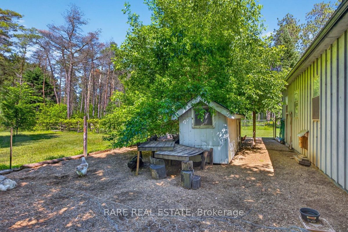 6216 Sunnidale Tosorontio Townline • Clearview, ON photo 31