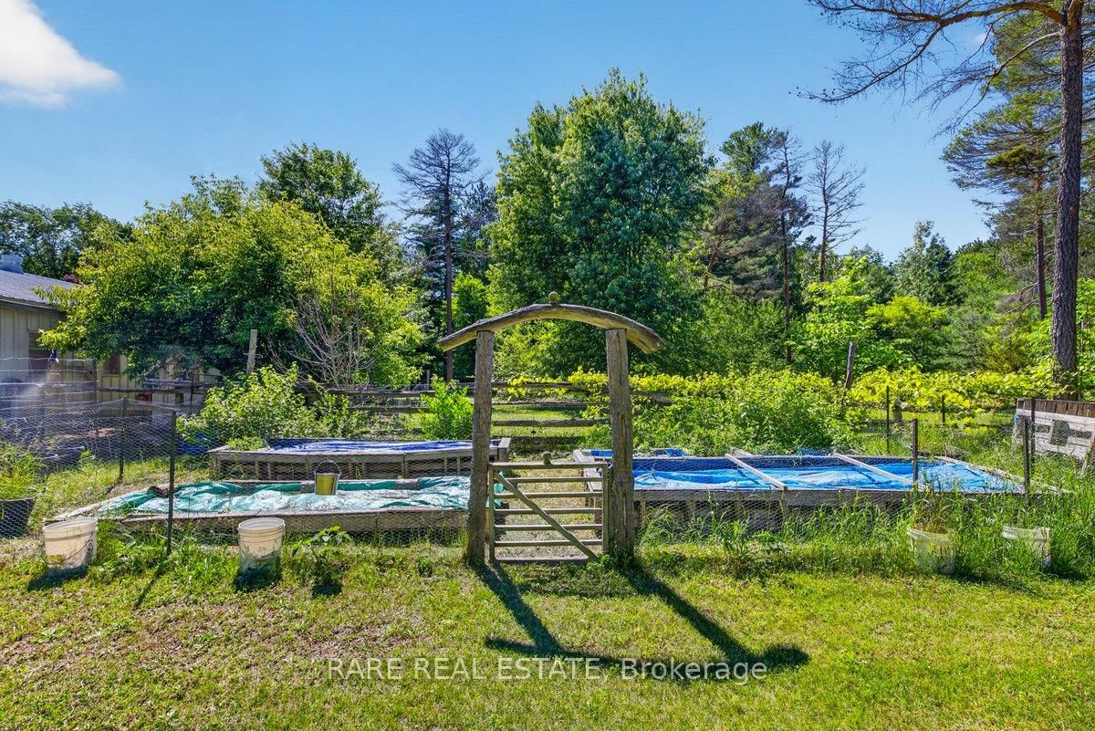 6216 Sunnidale Tosorontio Townline • Clearview, ON photo 34