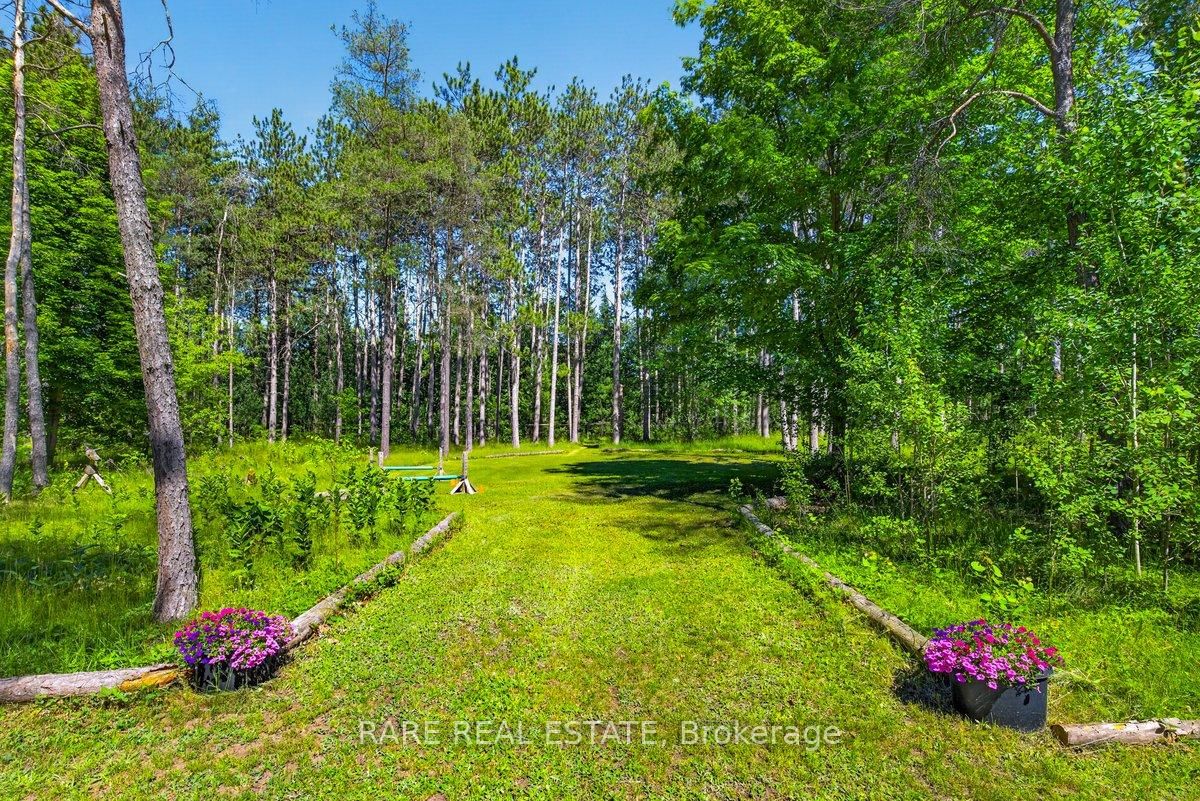 6216 Sunnidale Tosorontio Townline • Clearview, ON photo 42