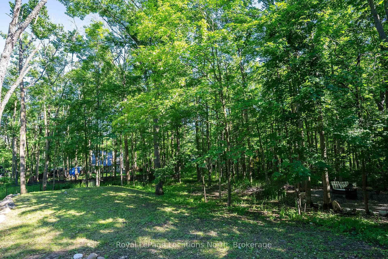 74 Slalom Drive • Oro-Medonte, ON photo 37