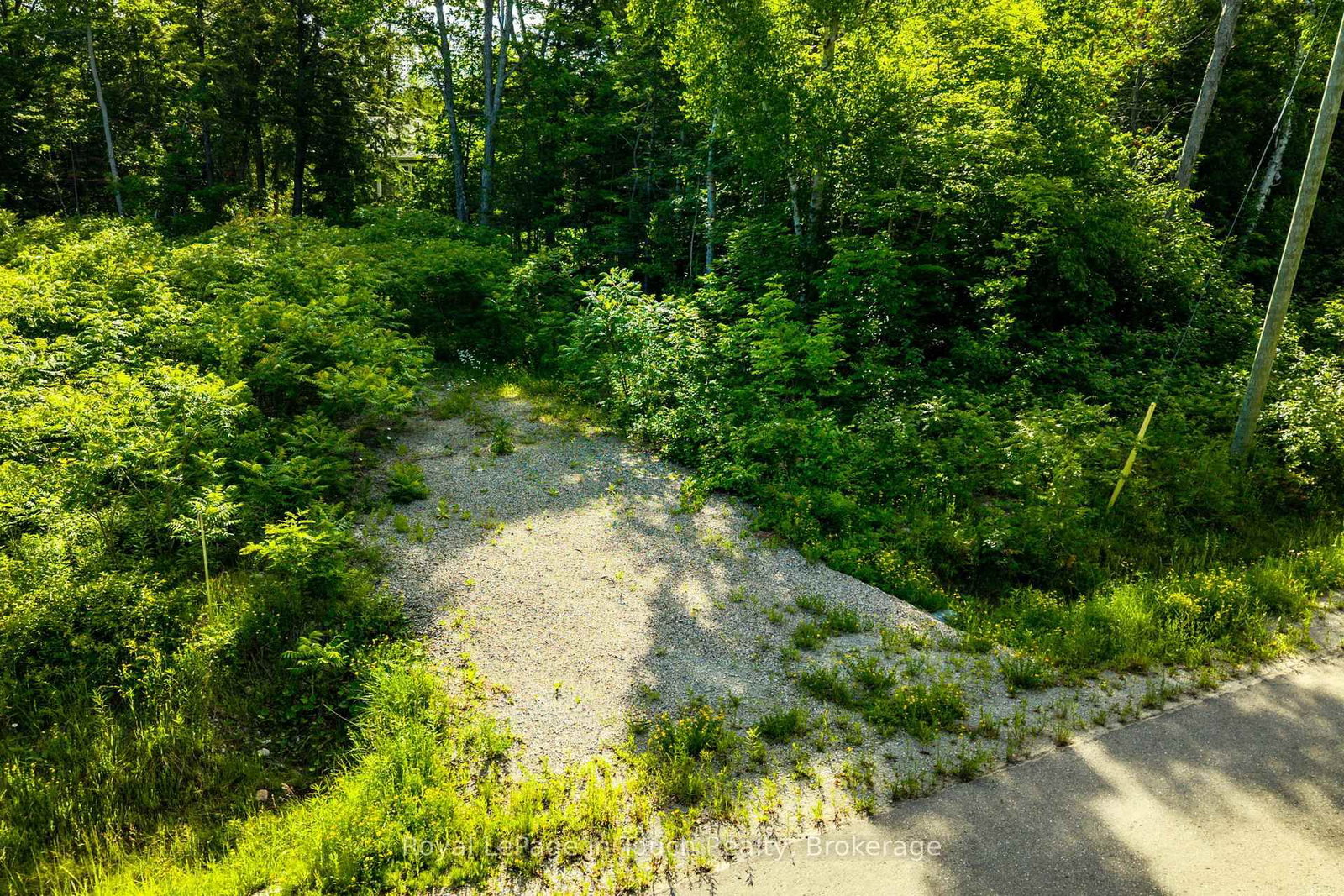 36 SEGUIN Crescent • Tiny, ON photo 10