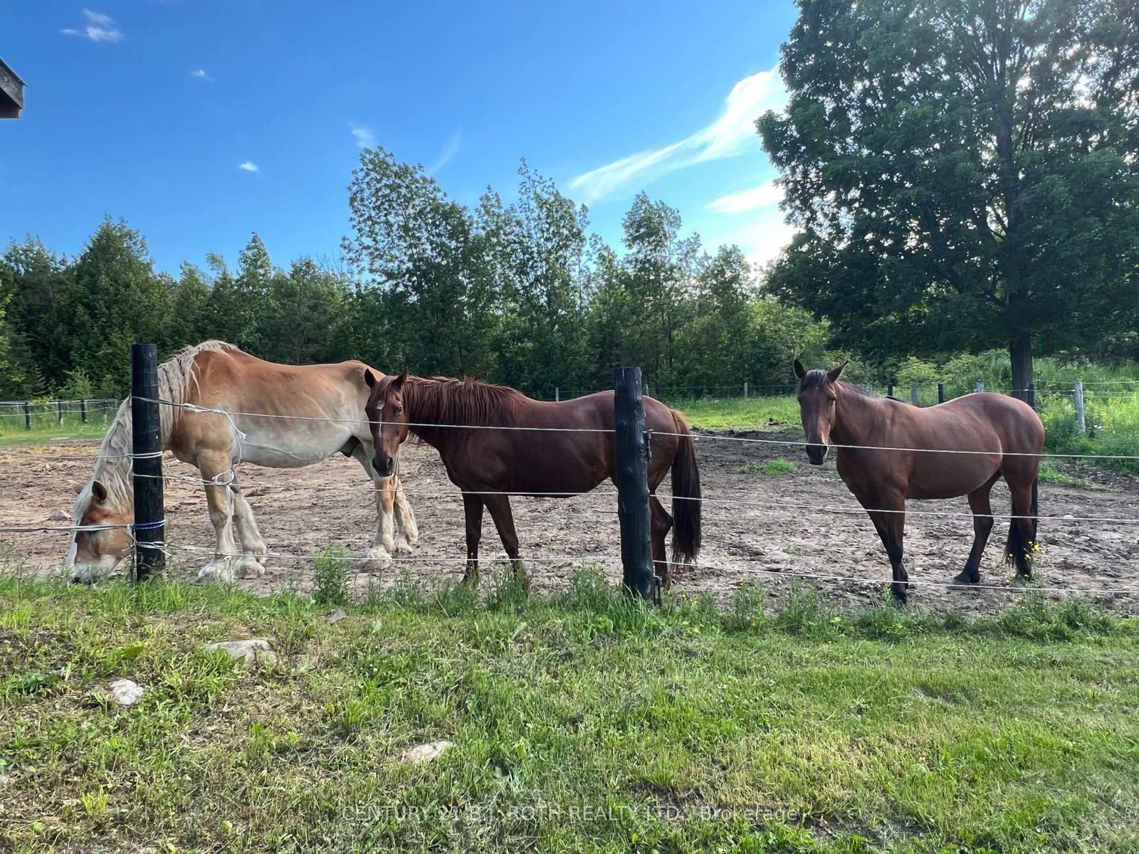 2266 FOXMEAD Road • Oro-Medonte, ON photo 11