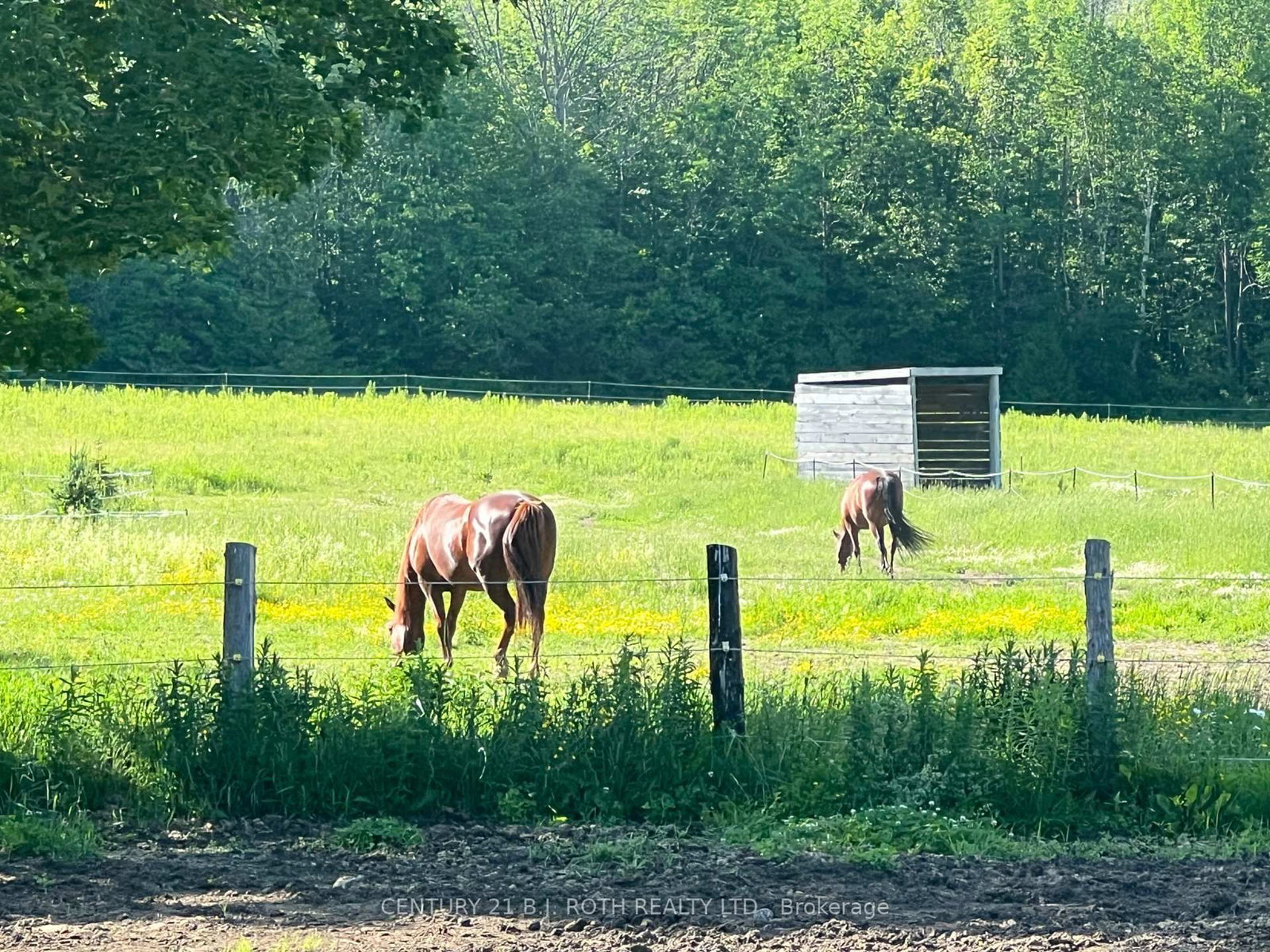 2266 FOXMEAD Road • Oro-Medonte, ON photo 2