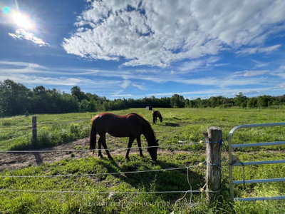 2266 FOXMEAD Road • Oro-Medonte, ON photo 3