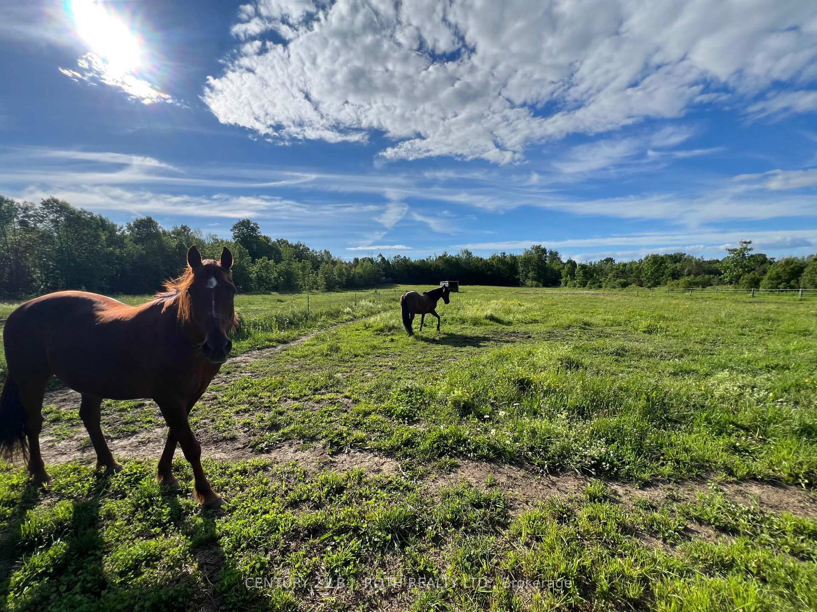 2266 FOXMEAD Road • Oro-Medonte, ON photo 39