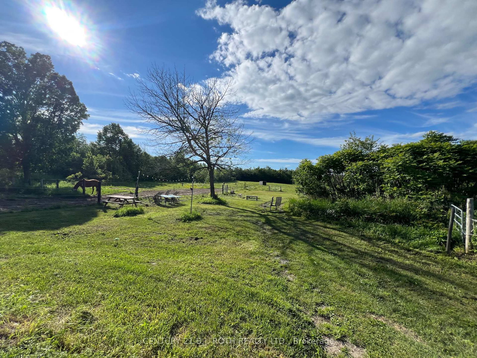 2266 FOXMEAD Road • Oro-Medonte, ON photo 46