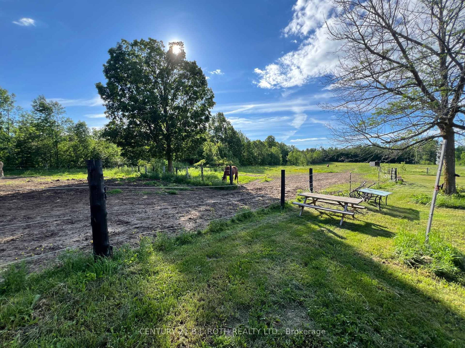 2266 FOXMEAD Road • Oro-Medonte, ON photo 47