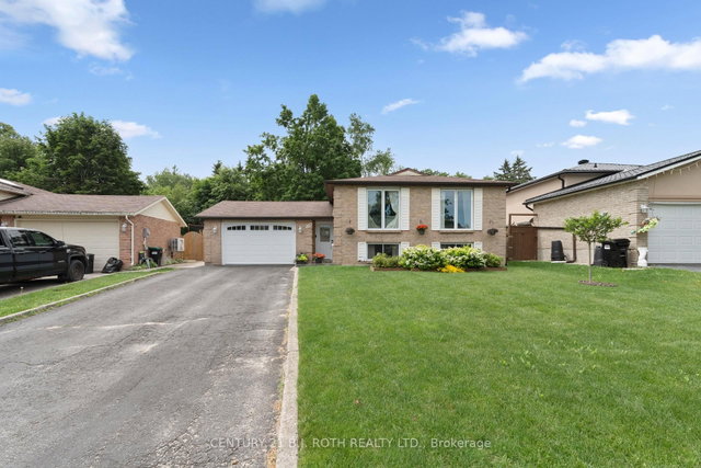Basement - 207 Lillian Crescent