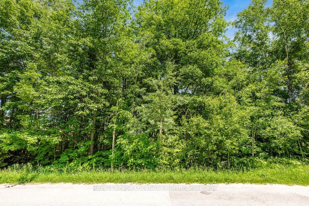 79 Smallman Drive • Wasaga Beach, ON photo 8