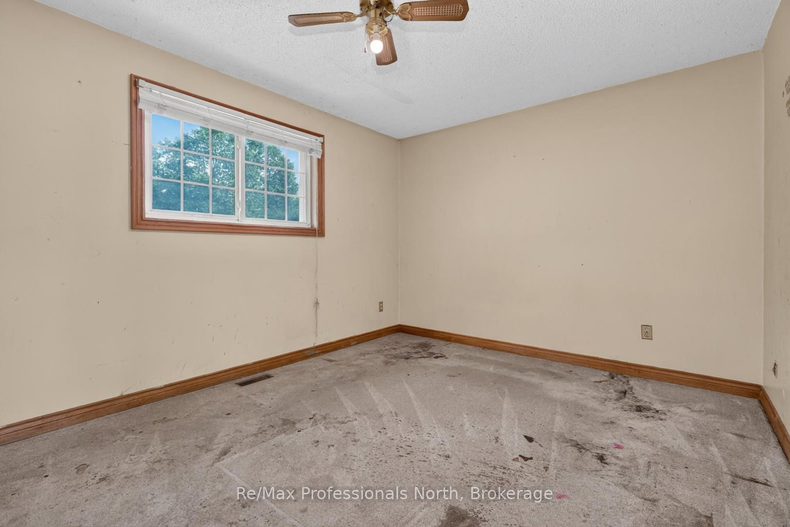 232 Shannon Street • Orillia, ON photo 12