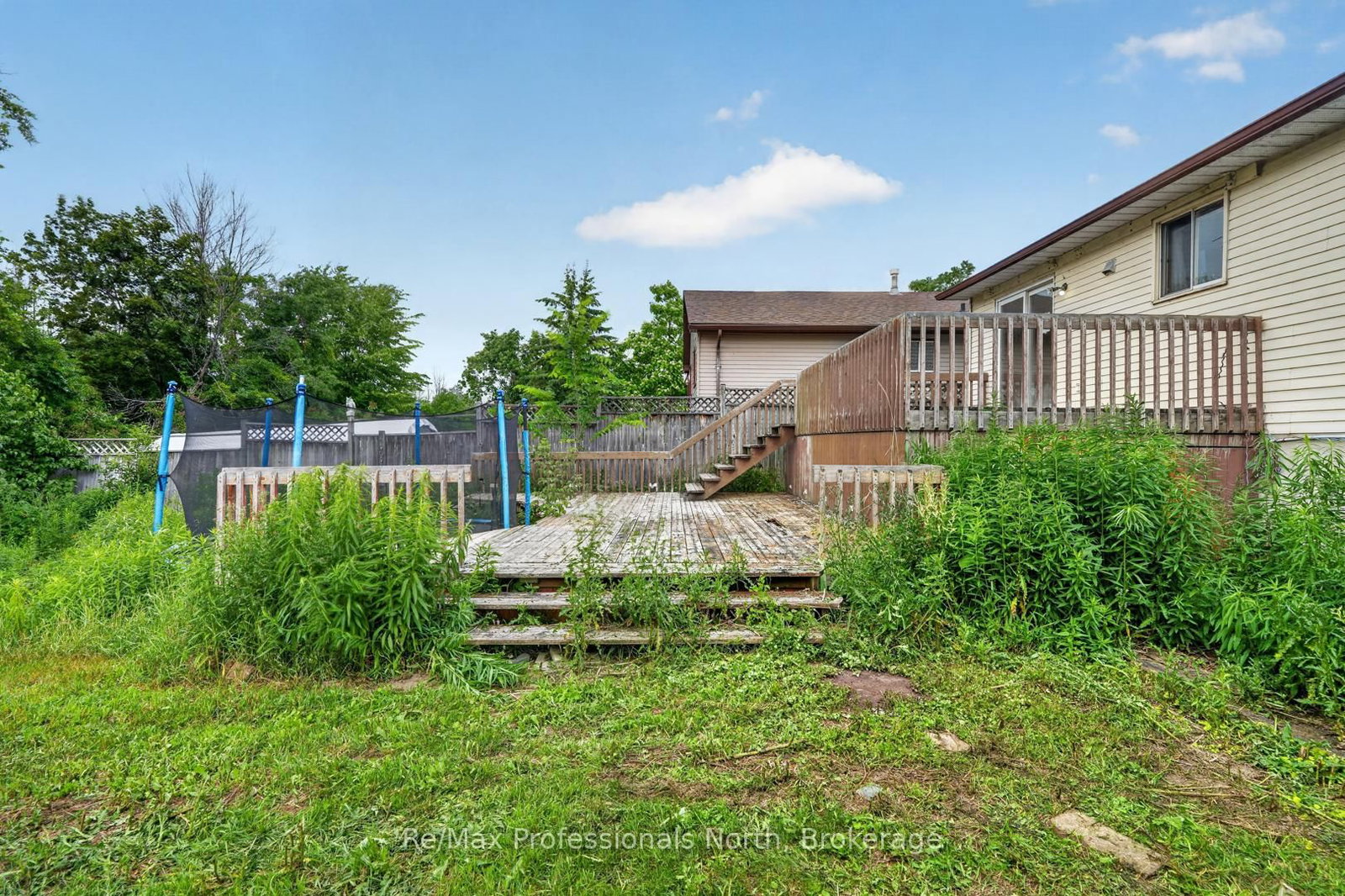 232 Shannon Street • Orillia, ON photo 36