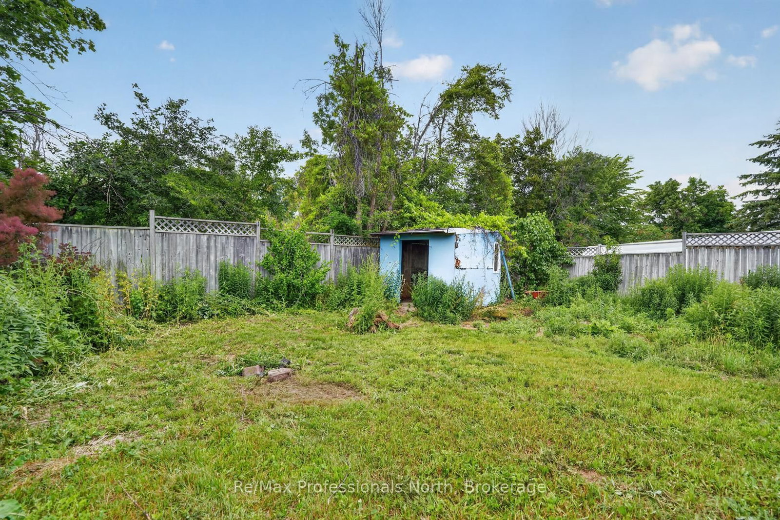 232 Shannon Street • Orillia, ON photo 38