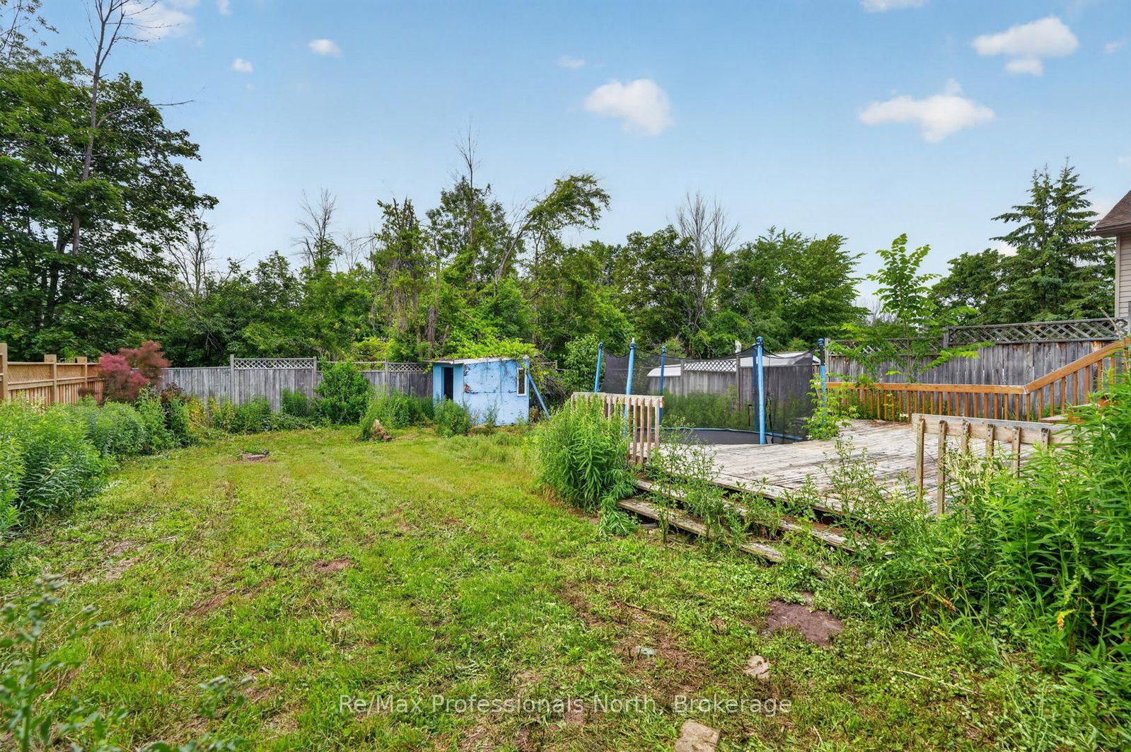 232 Shannon Street • Orillia, ON photo 39