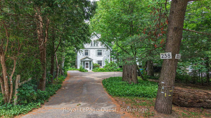 258 Bay Street