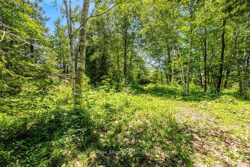 88 Smallman Drive • Wasaga Beach, ON photo 8