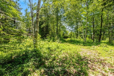 88 Smallman Drive • Wasaga Beach, ON photo 8